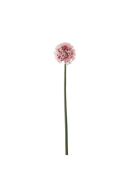 SUPERGREENS Plantă artificială Allium - roz 65 cm