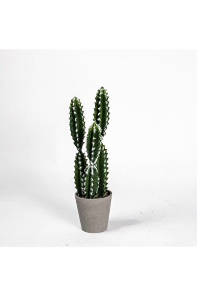 SUPERGREENS Artificial Plant Euphorbia Caerulescens 50cm