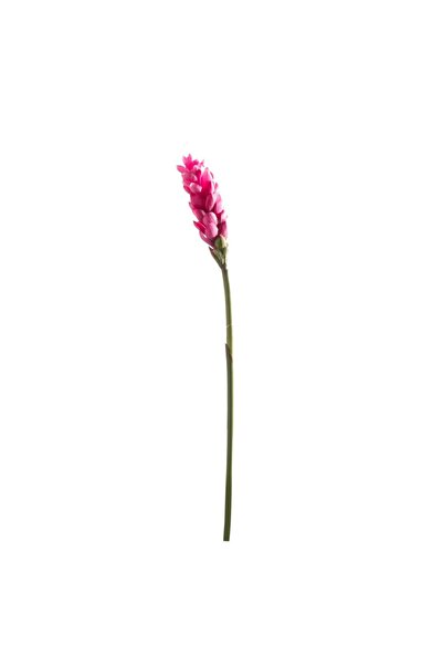 SUPERGREENS Plantă artificială Ghimbir Fuchsia 86cm