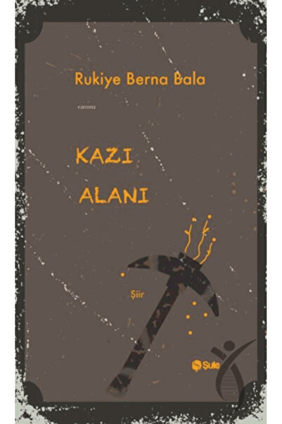 Şule Yayınları Kazı Alanı