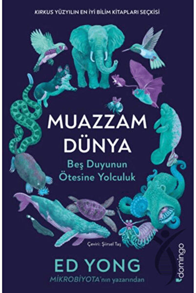 Domingo Yayınevi Muazzam Dünya: Beş Duyunun Ötesine Yolculuk