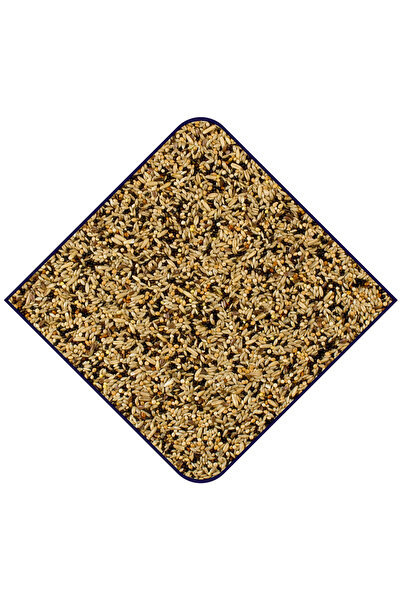 EXPERT Base for Canaries - Seed Mix, 20 kg