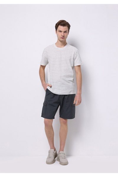 Colin's Regular Fit Mid Waist Plain Men's Anthracite Shorts