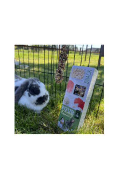 Witte Molen Puur Gourmet Bețișoare de mestecat pentru rozătoare cu orez expandat și miere, 2 bucăți (110 g)