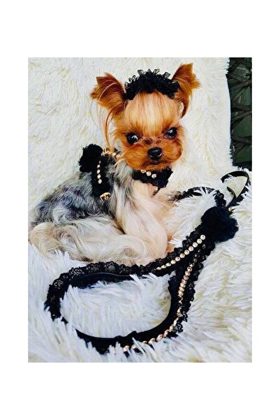 Charlotte's Dress Ham Swarovski - XXS - Balerina