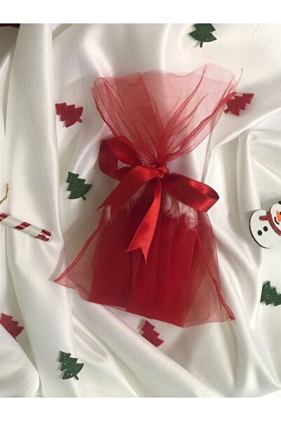 NSMLİFE Christmas, New Year's Gift, Red Lace Thong String Model with Feather Tail Detail on the Back