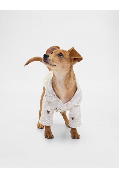 GAP Kadın Beyaz Flannel Köpek Kıyafeti