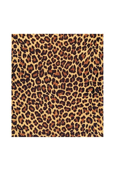 Rich كولاي ترانسفير كلوس داون 5062 - 16x22