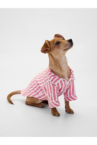 GAP Kadın Kırmızı Flannel Köpek Kıyafeti