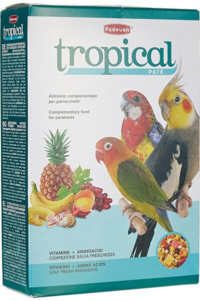 Padovan Tropical Patee Bird Food 700Gm