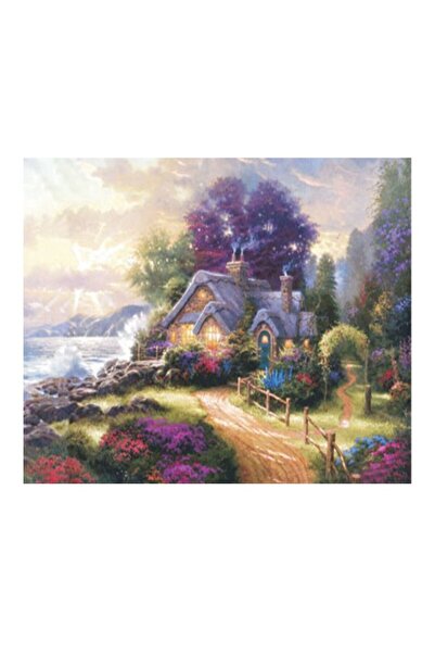 Rich KOLAY TRANSFER KÜÇÜK AÇIK ZEMİN 5594