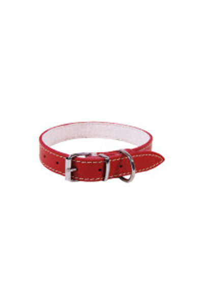 Exo L2 Collar 2.0/45 cm - Red Felt