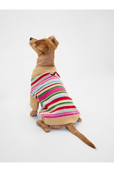 GAP Kadın Çok Renkli CashSoft Köpek Kıyafeti