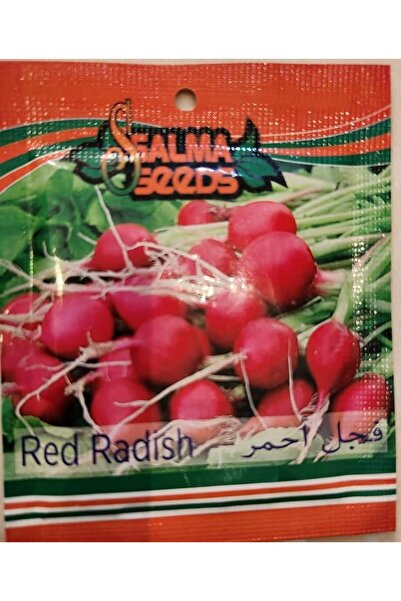 Generic بذور الفجل الأحمر للزراعة