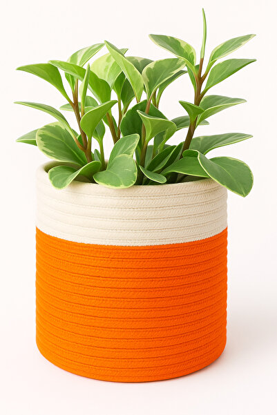 MaVaux Dekoratif Jüt Saplı Hasır Sepet Saksı 20cm X 20 Cm, Jüt Bej Saksılık, ...