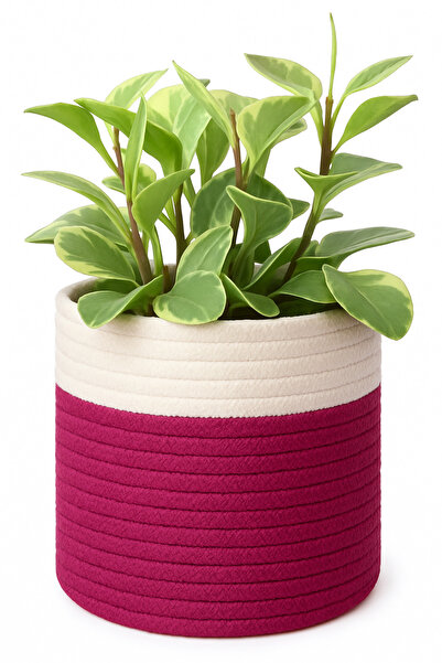 MaVaux Dekoratif Jüt Saplı Hasır Sepet Saksı 20cm X 20 Cm, Jüt Bej Saksılık, ...