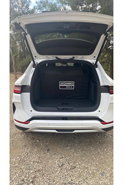 woinbo BYD Seal U EV Kamp Yatağı