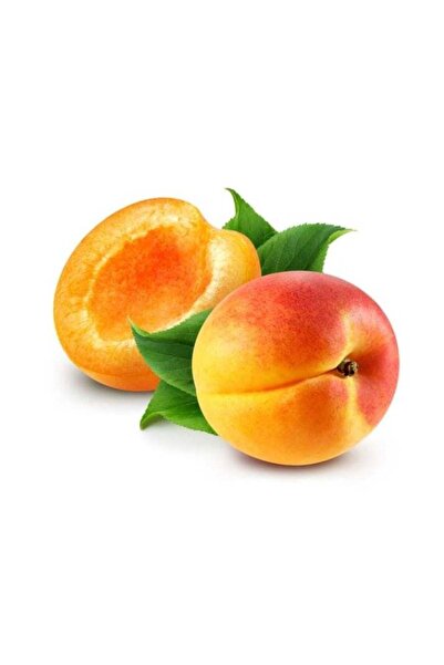 Generic Apricot seeds for planting