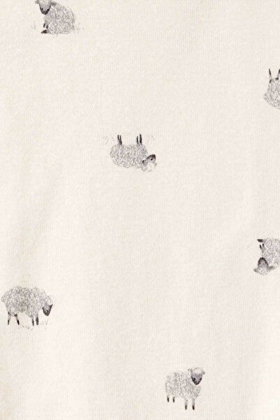 Carter's Baby Boy Ecru Set of 3