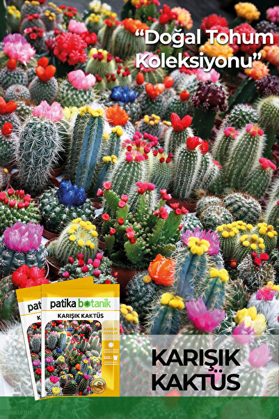 Patika Botanik 100 Adet Karışık Kaktüs Çiçeği Tohumu
