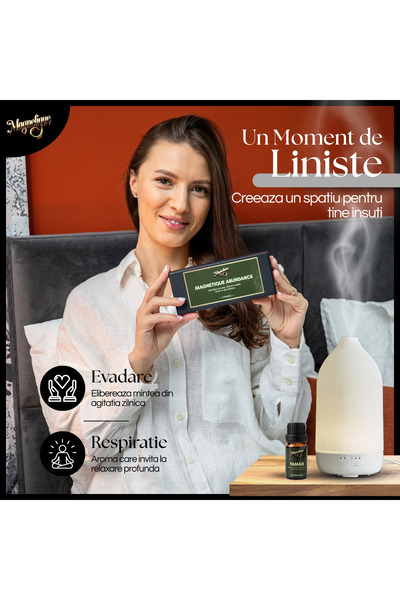 Magnetique Aromatherapy Essential Oils Set, Abundance, 10ml, 6 different special scents