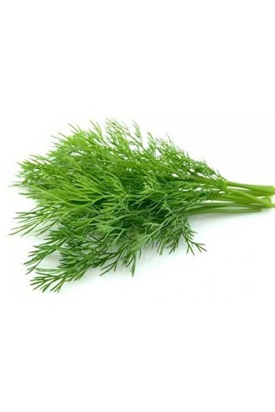 Generic Dill Seeds