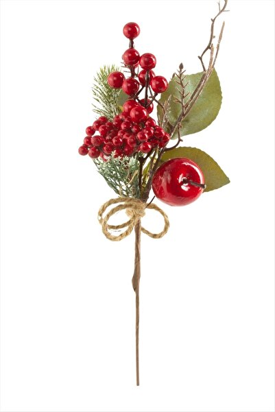 FREEDOM STOREE Χριστουγεννιάτικο στολίδι Κοκίνα με φύλλα μήλου 29 εκ.