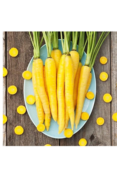 Generic Rare hybrid yellow carrot seeds for planting