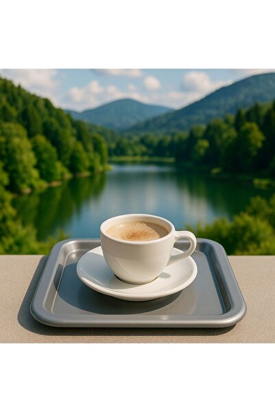 The fabrication Colorful Unbreakable Plastic Square Flat Coffee & Tea & Desse...