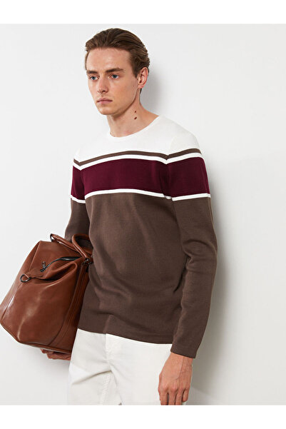 LC Waikiki Brown Crew Neck Long Sleeve Color Block Men's Knitwear Sweater