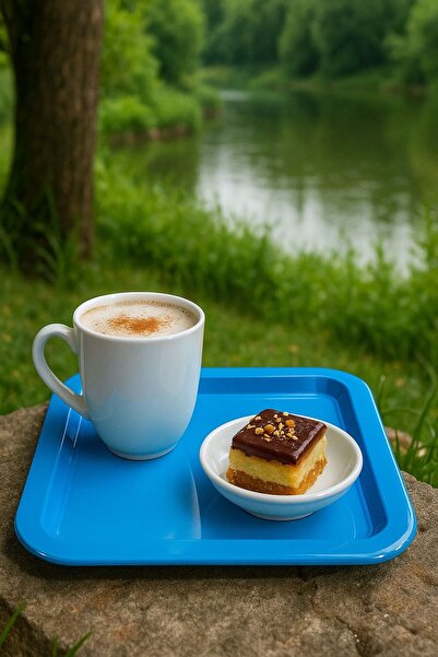 Fabrication Colorful Unbreakable Plastic Square Flat Coffee & Tea & Dessert P...