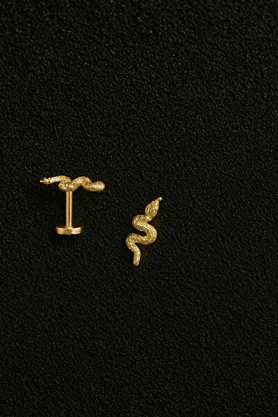 ömay takı Yılan 316l Cerrahi Çelik Tragus Helix Conch Piercing