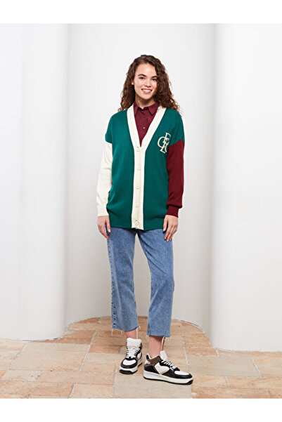 LC Waikiki V-Neck Embroidered Long Sleeve Women's Knitwear Cardigan