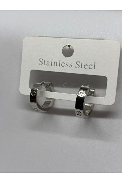 staınless steel Steel Earrings