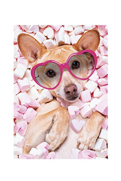 Animals Câine Marshmallow Dosar cu elastic A/4