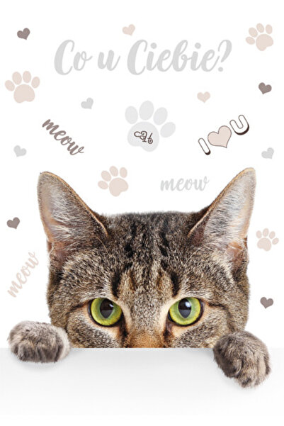 Animals Cat Meow A/4 φάκελος με ελαστικό