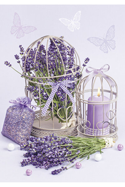 Colorations Colorat Cage Mapă elastică A/4 de lavandă