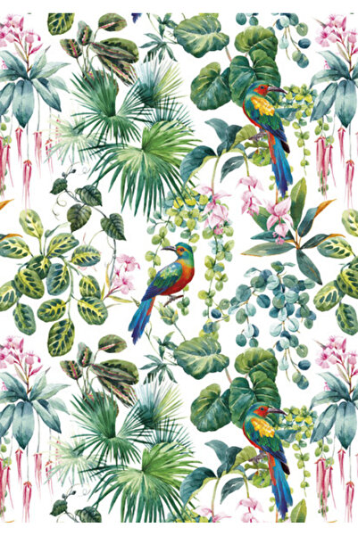 Colorations Πολύχρωμος ελαστικός φάκελος με παπαγάλο A/4 Nature