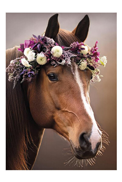 Animals Cal Wreath Mapa A/4 cu elastic