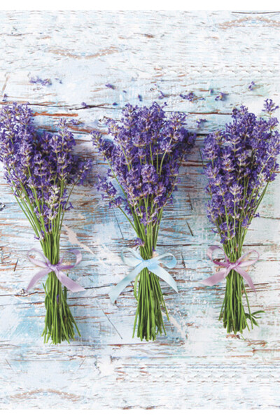 Colorations Colorat Bouquet Mapă Elastică A/4 Lavandă