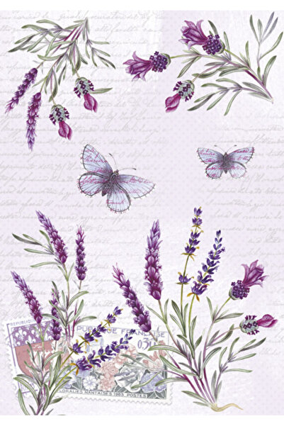 Colorations Colorat Butterfly Mapa A/4 cu elastic Levănțică