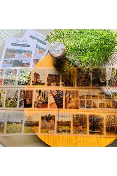 İthal K13-100cm Bandă PET cu peisaj din Marea Britanie