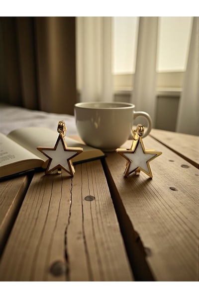 Bo Takı ve Aksesuar Steel earrings