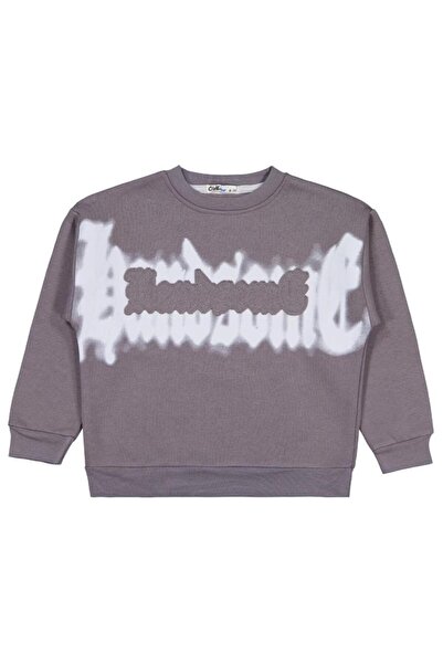 Civil Boys Hanorac cu imprimeu Banosome pentru 10-13 ani - Gri 13-14 ani