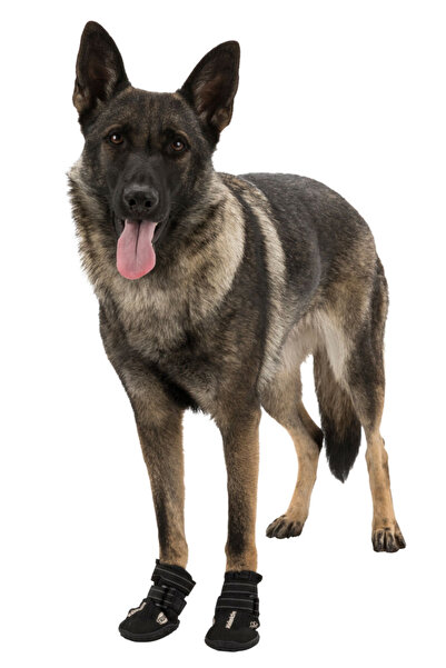 Trixie Pantofi Walker Active, talpă rezistentă, S-M, 2 bucăți, negri, 19462