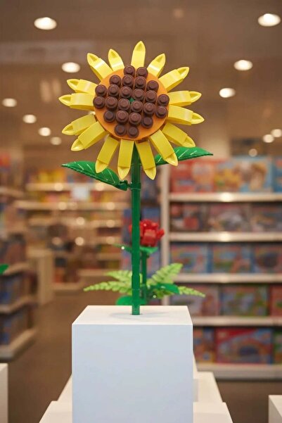 Miniso Çiçek Serisi Ayçiçeği Oyun Bloğu
