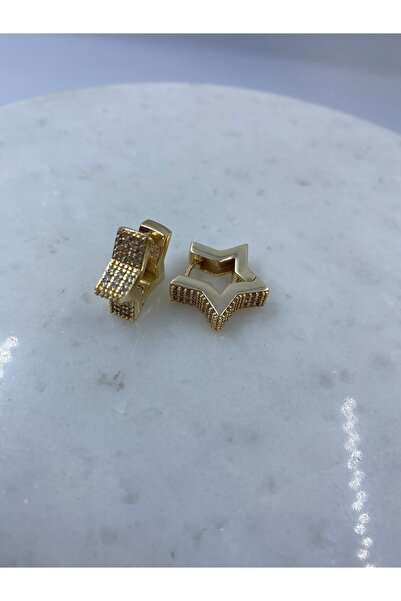 Byoz store Special Vip Series Premium Inlaid Stone Star Earrings