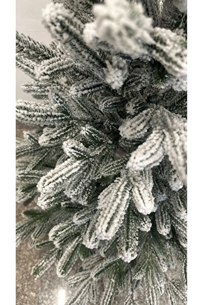 ChristmasExpress Artificial fir tree in pot SMEREKA snowy 70cm, 100% molded branches