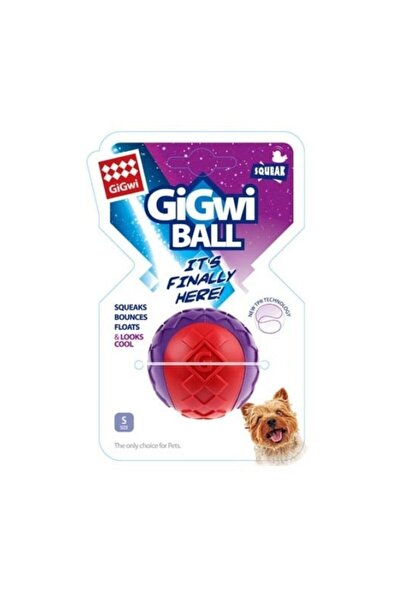 Gigwi Ball Sert Top Kauçuk Köpek Oyuncağı 6 Cm Kırmızı/Mor