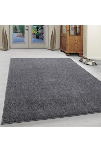 Talis Ata Carpet Light Grey Light 80x150